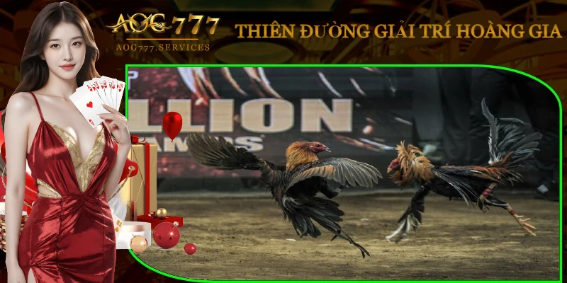 luat-choi-da-ga-peru