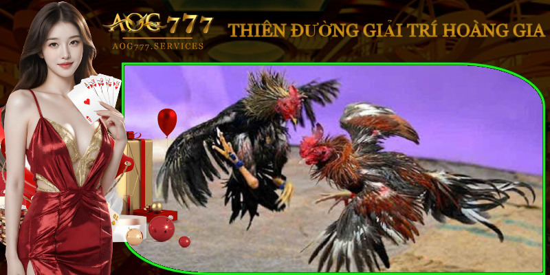 tim-hieu-ve-da-ga-peru