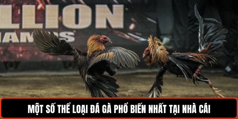 mot-so-the-loai-da-ga-pho-bien-nhat-tai-nha-cai-lc88