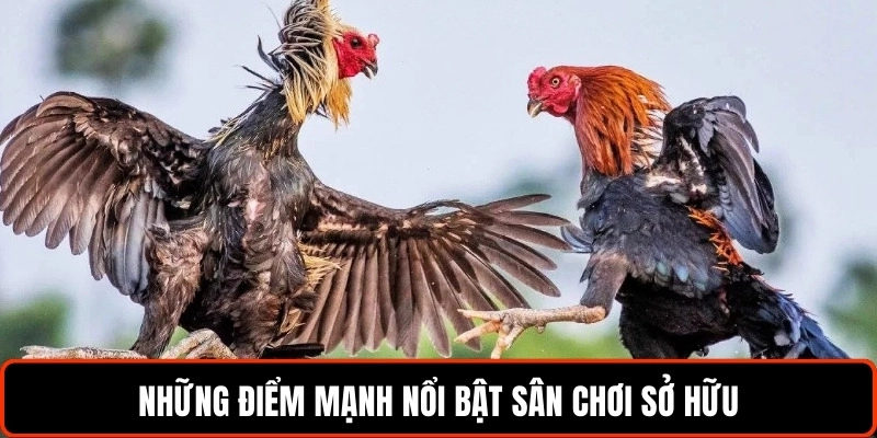 nhung-diem-manh-noi-bat-san-choi-so-huu